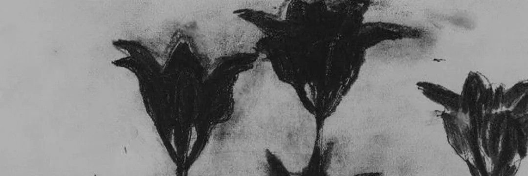 damselmaycry's profile banner image