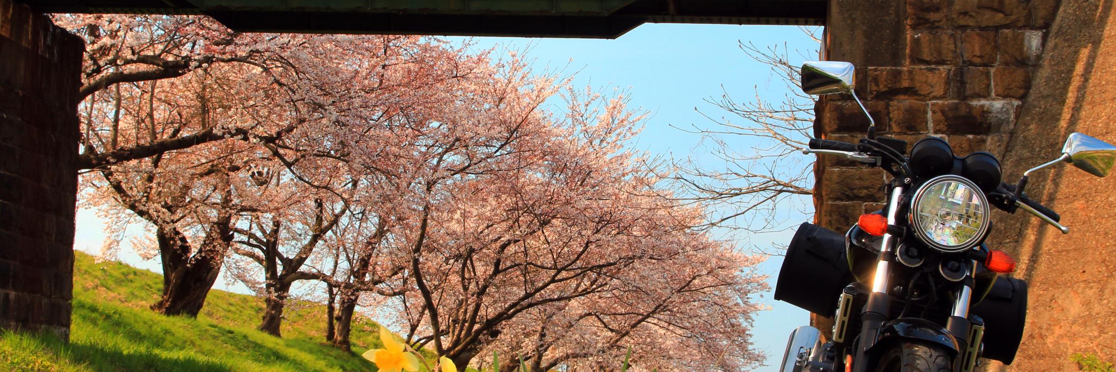 tenQ_CB's profile banner image