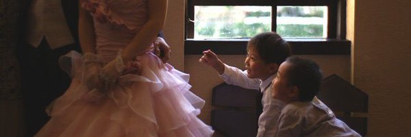 3trees4boxes Profile Banner