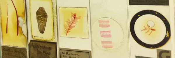 JuliaPMyatt Profile Banner