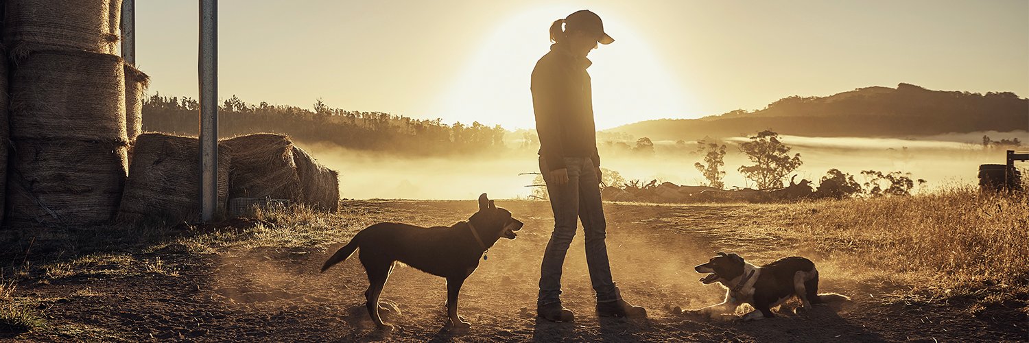 Elanco Europe banner