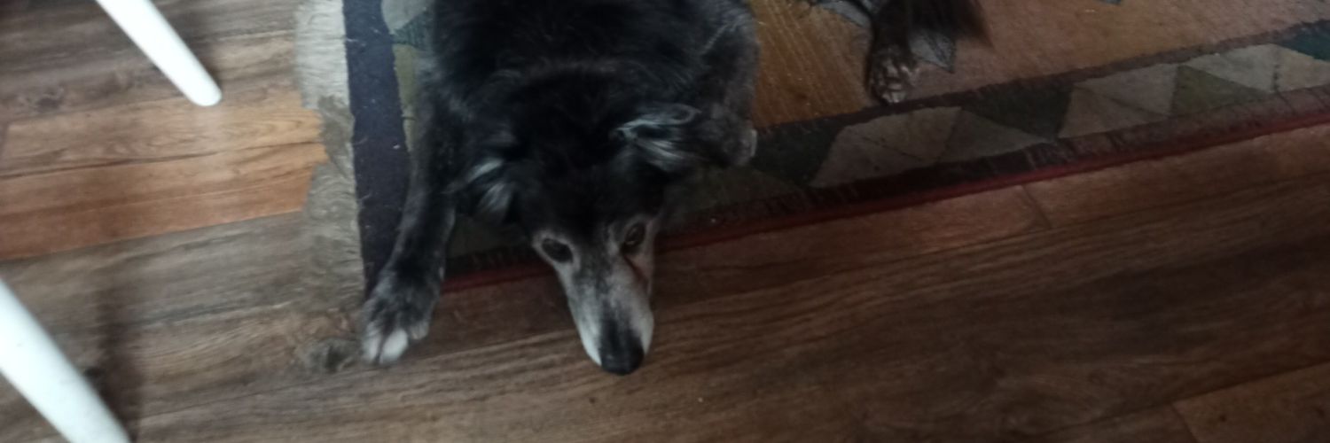 NPCJim's profile banner image
