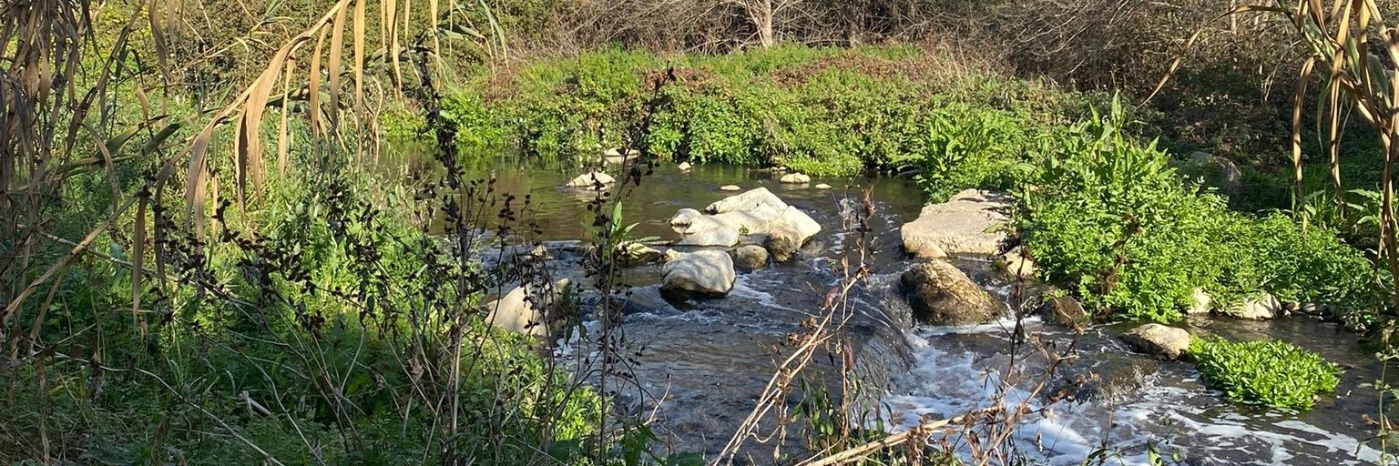 Bernat Marti 🧅 banner