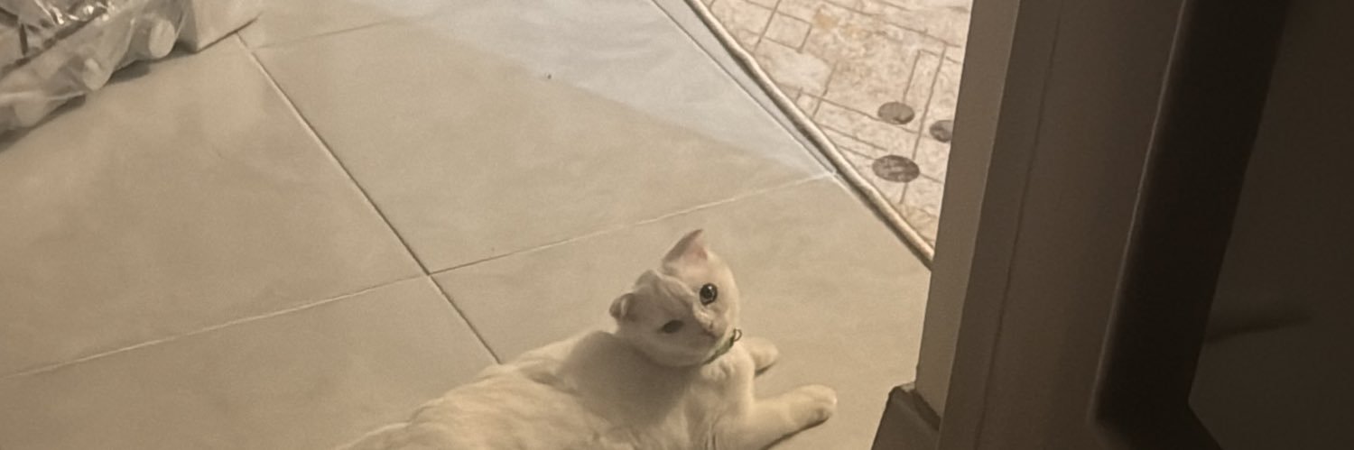 Ceco banner