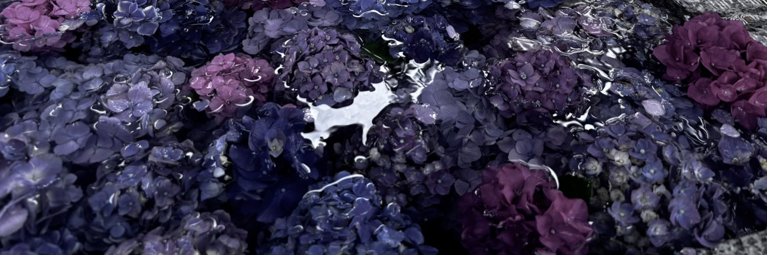 toutoki_ame's profile banner image