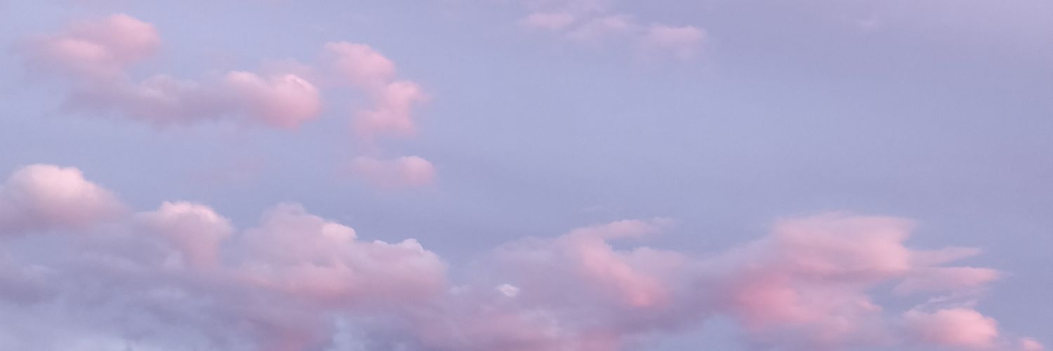 anniinajj's profile banner image