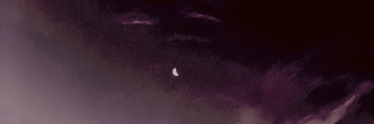 Miza_Bee's profile banner image