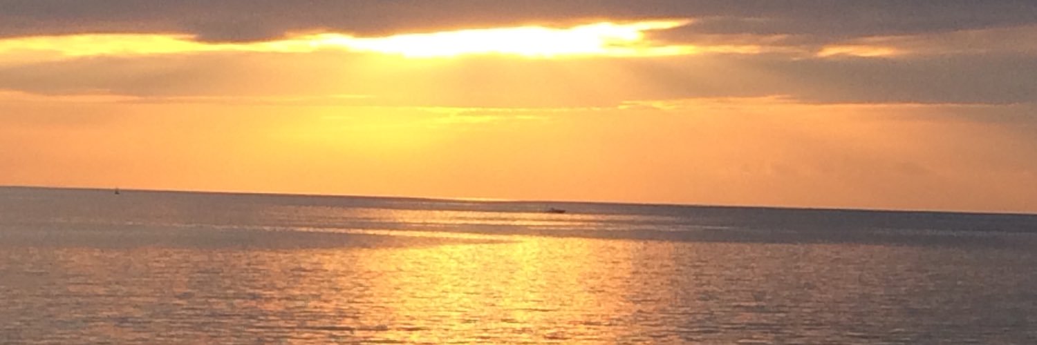 soifon9's profile banner image