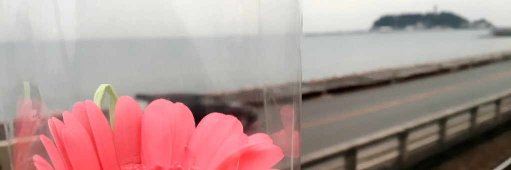 miwa_411's profile banner image