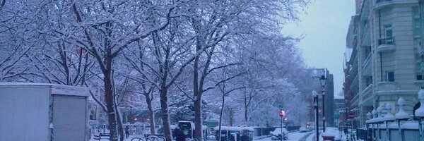 tobymundy Profile Banner