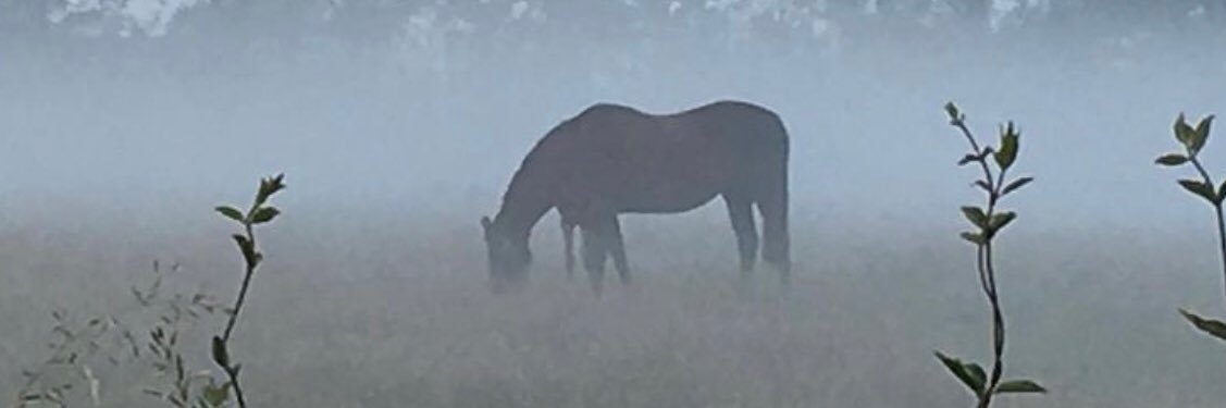 Alan Braddish banner