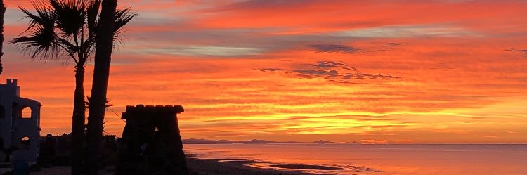 HaleyDeSouza's profile banner image