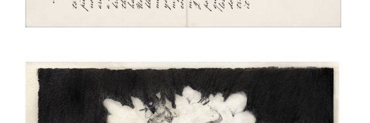 jell²⁵ banner