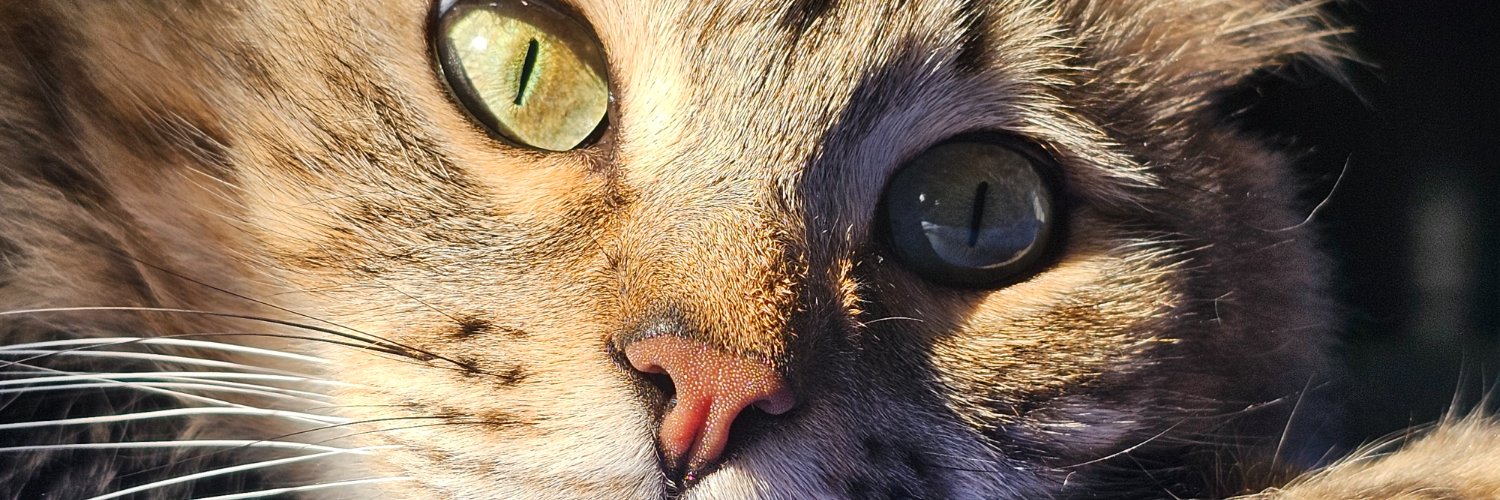 Gicavivan's profile banner image