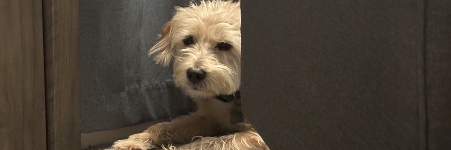 datboiscottb's profile banner image