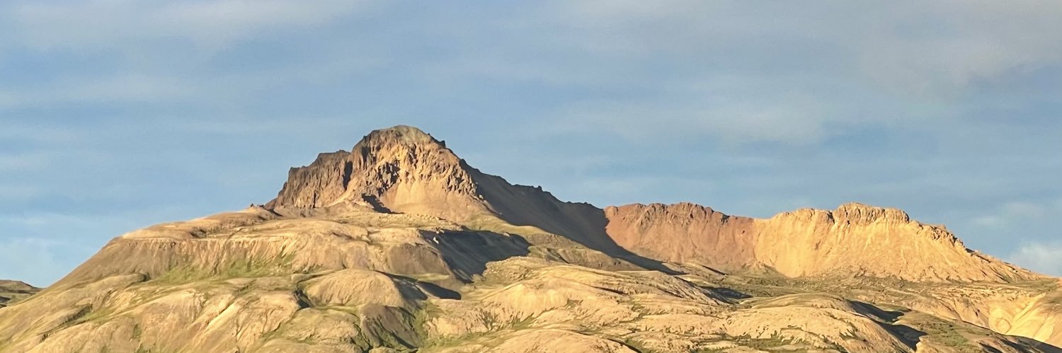 frosti sigurjonsson banner