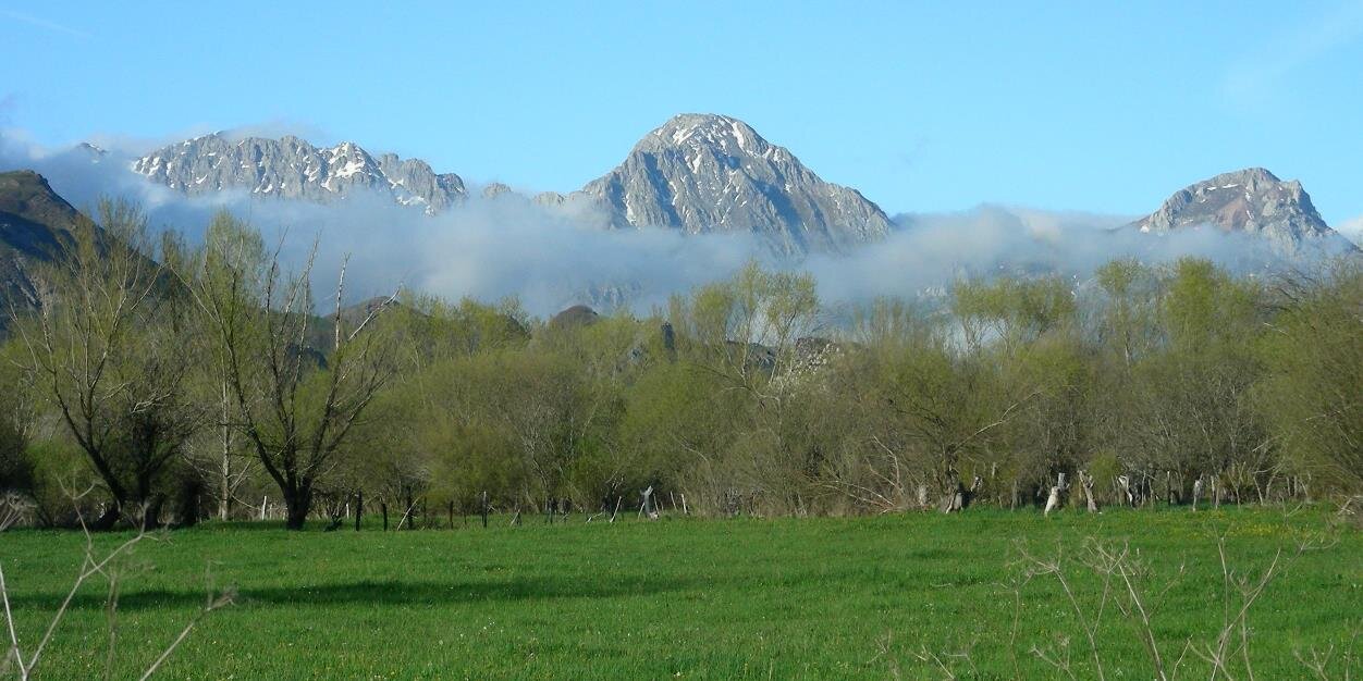 Babia Biosfera banner