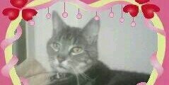 Tabitha_111's profile banner image