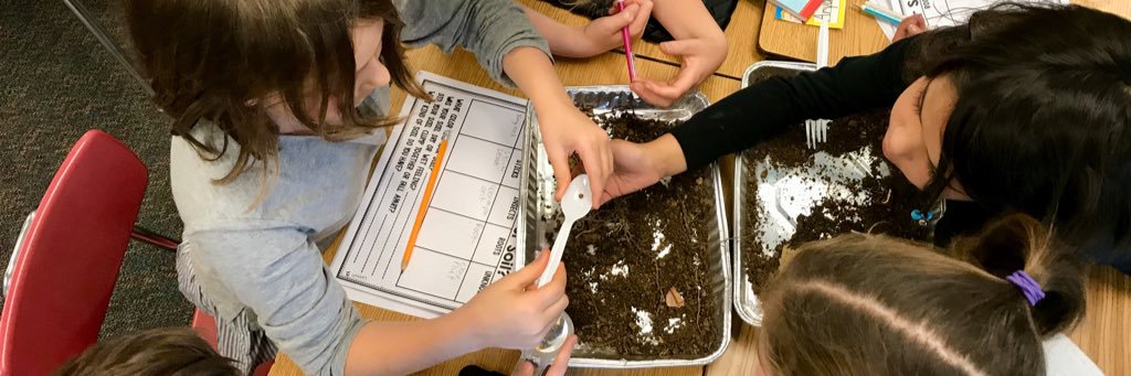 Sophie Daniels banner