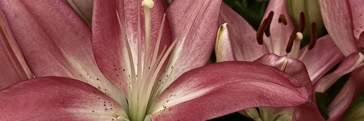 غَـايـة banner