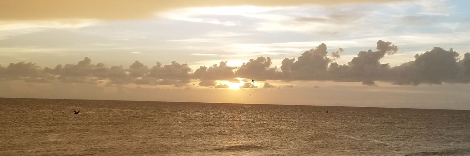 Brian C. Cole banner