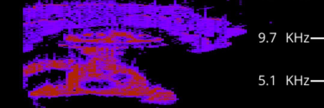 terriblefloww's profile banner image
