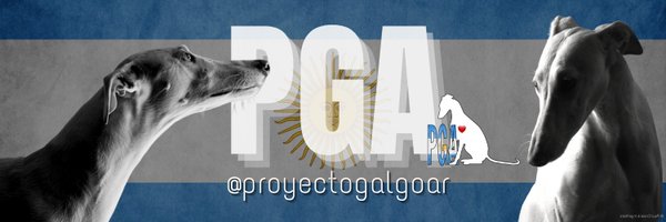 proyectogalgoar Profile Banner