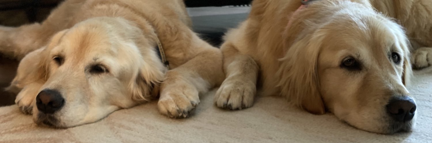 jmwiedees's profile banner image