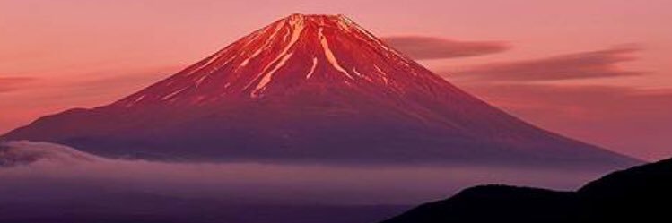 tayan1013's profile banner image