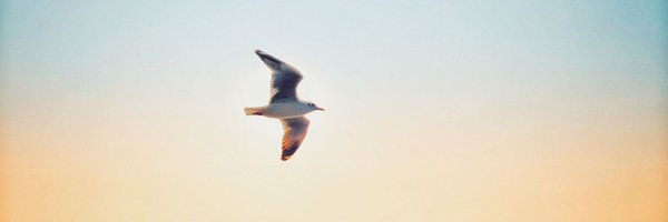 deejaypj Profile Banner