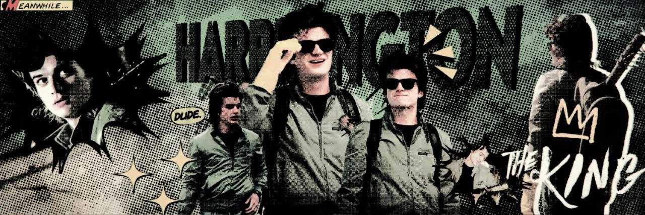 ᅟ𝗦𝗧𝗘𝗩𝗘ᅟ丷ᅟ𝙷.ARRI͜͡𝗡GŦON banner