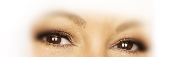 ツイートマライア banner