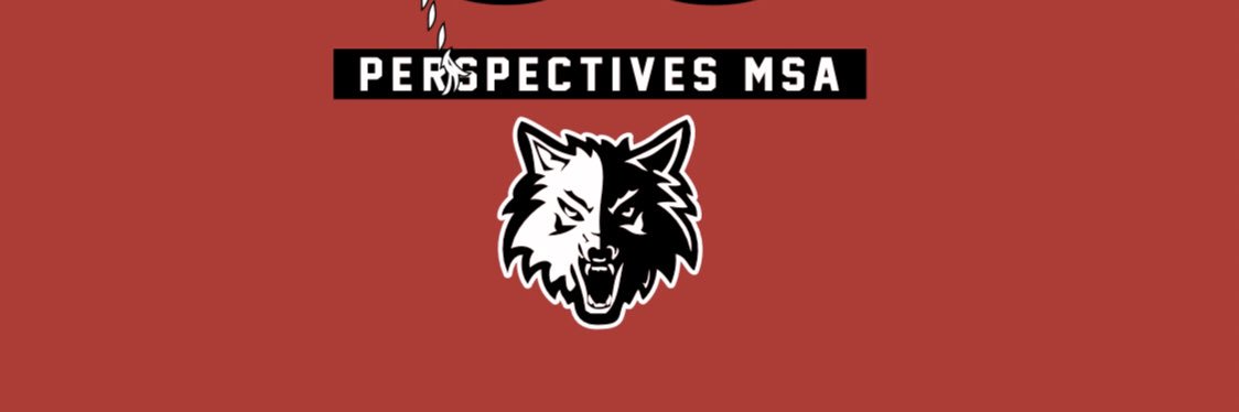 Perspectives MSA/Joslin Basketball banner