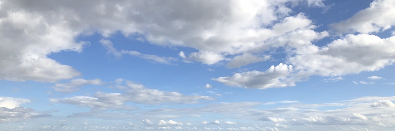 Bettina Schausten banner