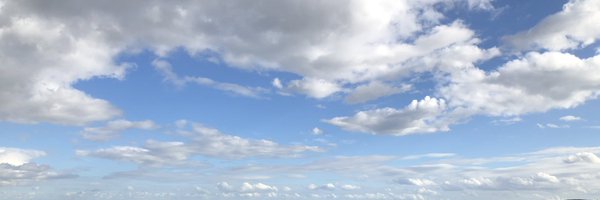 schausten Profile Banner