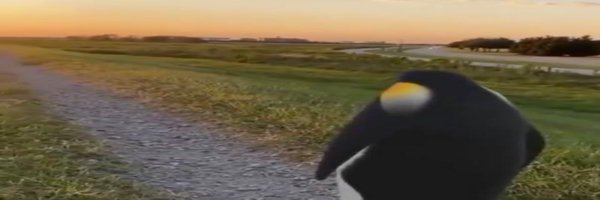 BowTiedWaddle Profile Banner