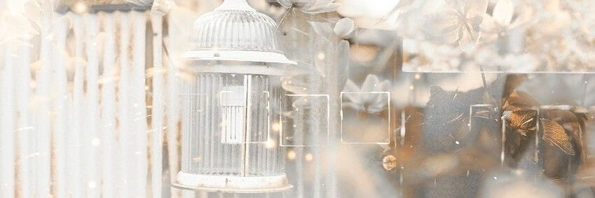 love4carte's profile banner image