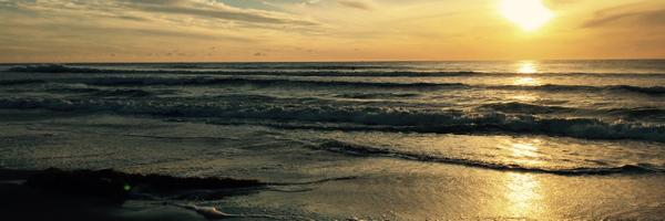 PelinT Profile Banner