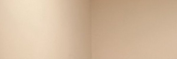 Delviera_ Profile Banner