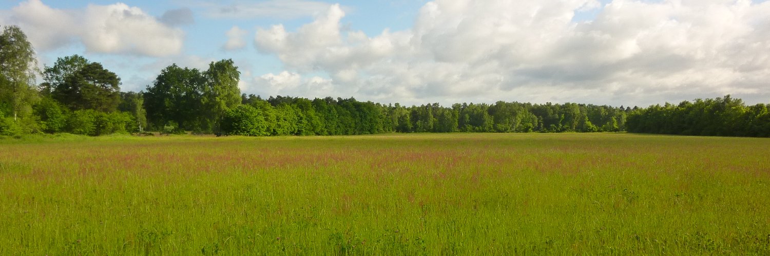 carlaerismann's profile banner image