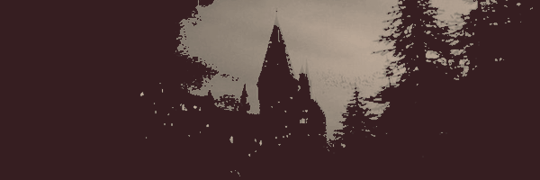 vampHnter Profile Banner
