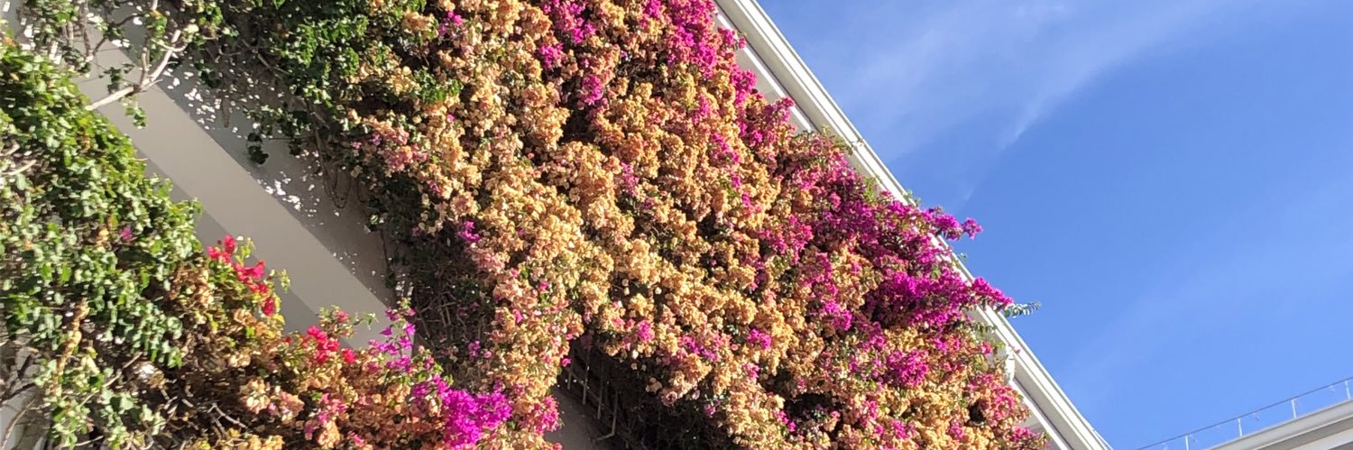 Emma C. 💫✨ banner