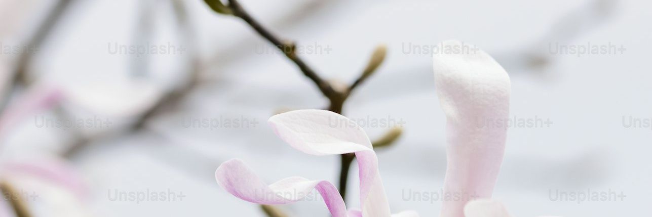 Spring day banner