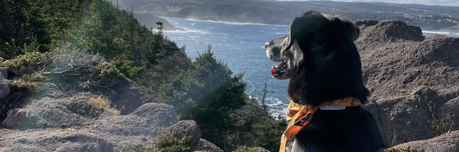 MikeDwyer01's profile banner image