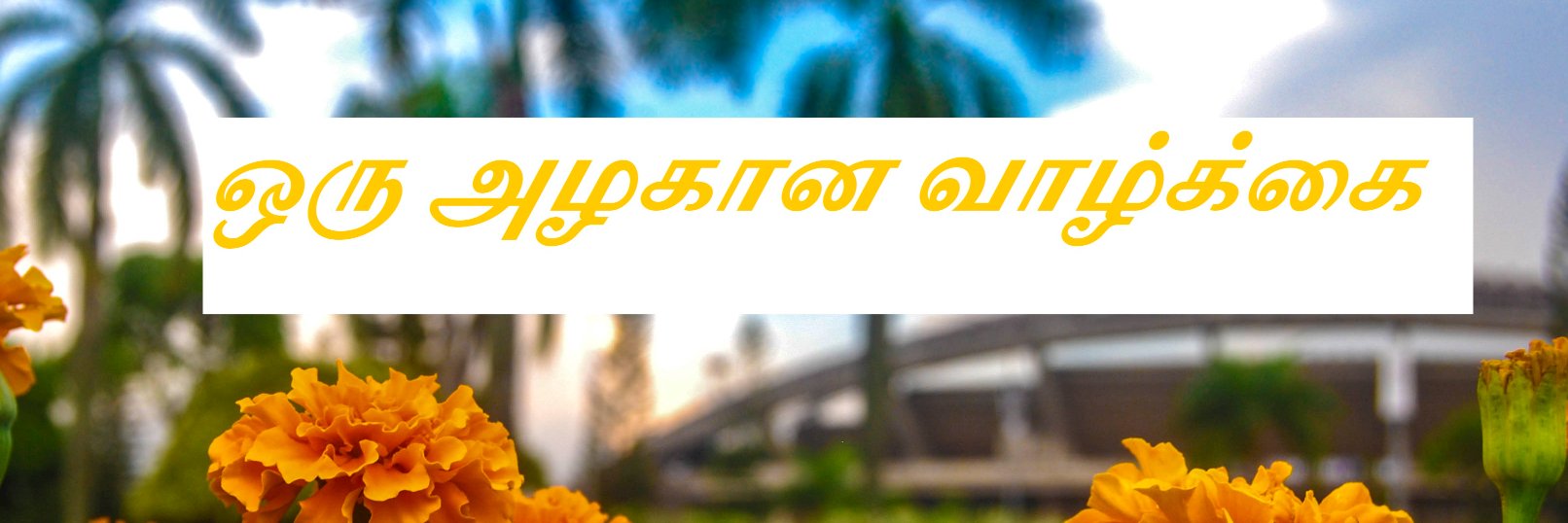 Naven_Selva's profile banner image