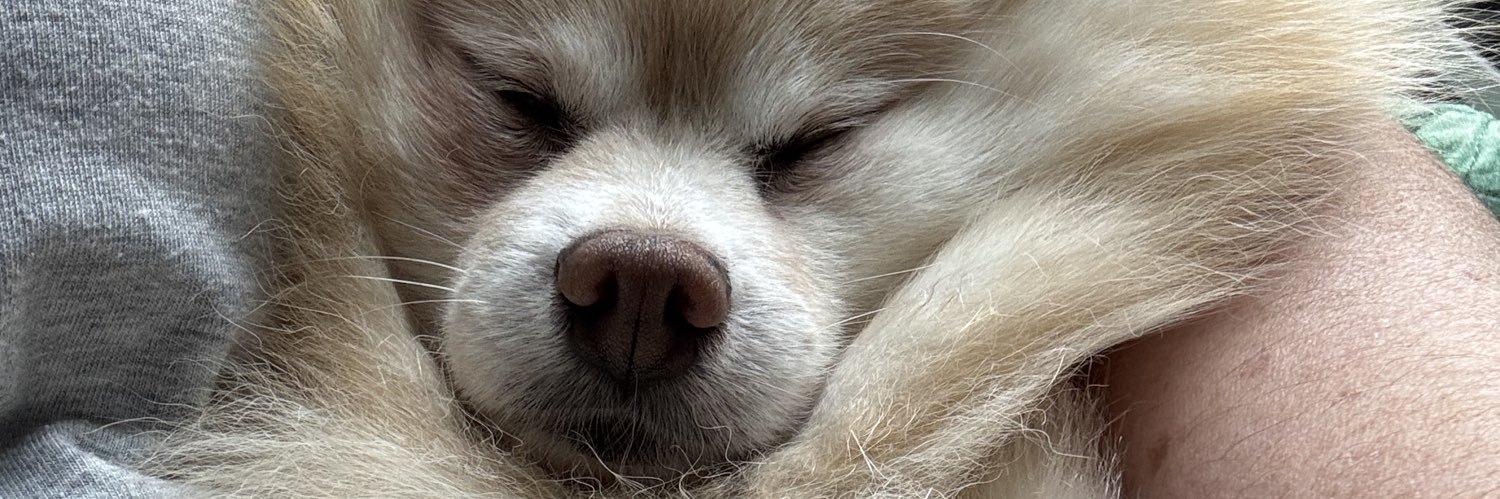 Boopiedx's profile banner image