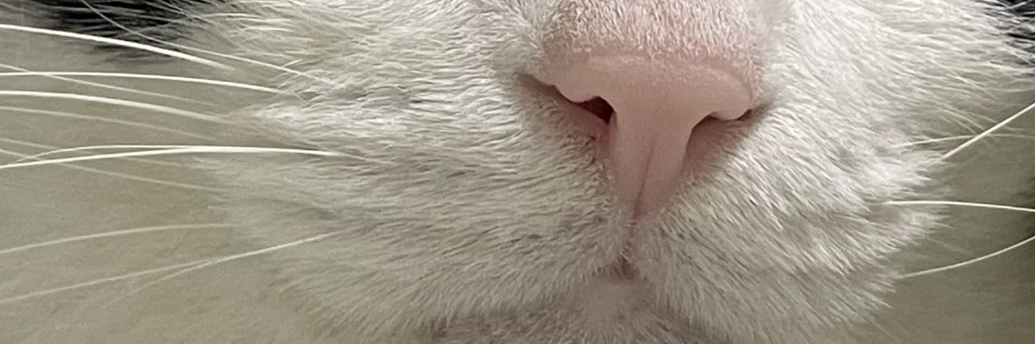 のなか海　書籍発売😽 banner