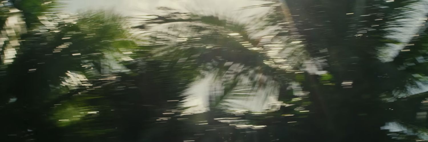 samara banner