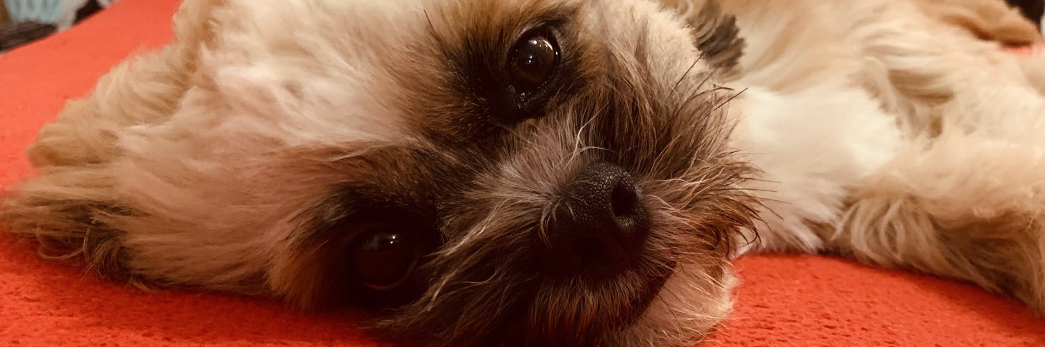 Ná ti Òṣun ⁴⁴ banner