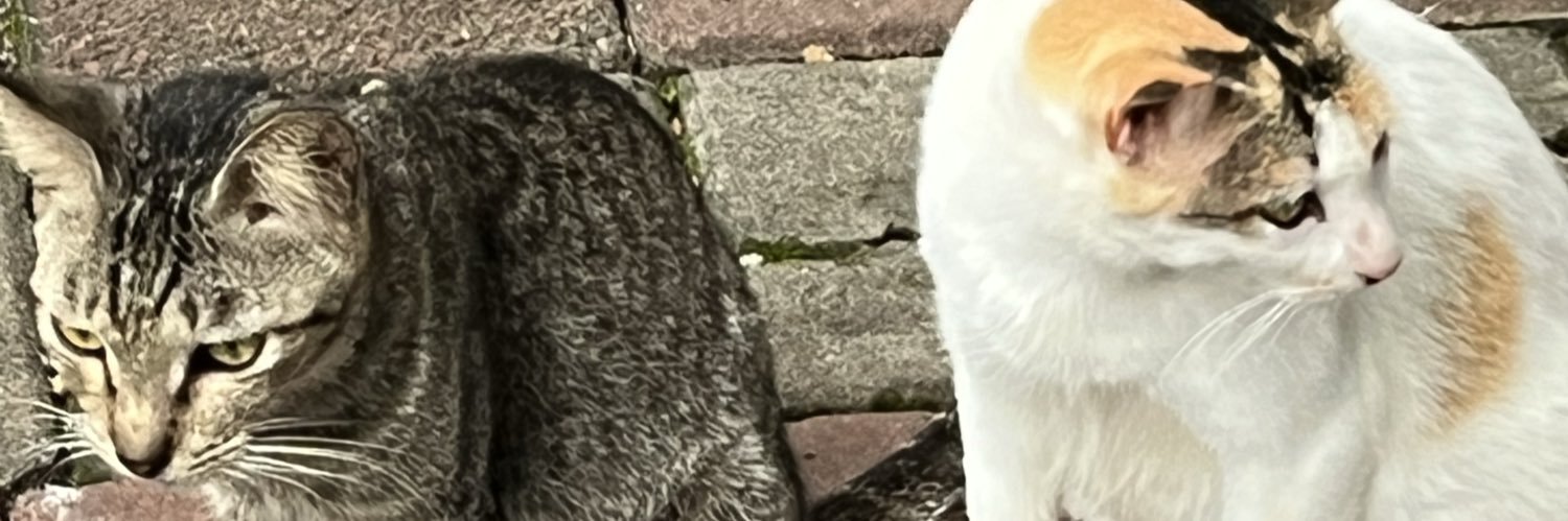 Ze banner